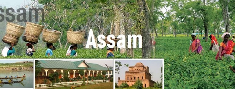 ASSAM (North East Marvels)